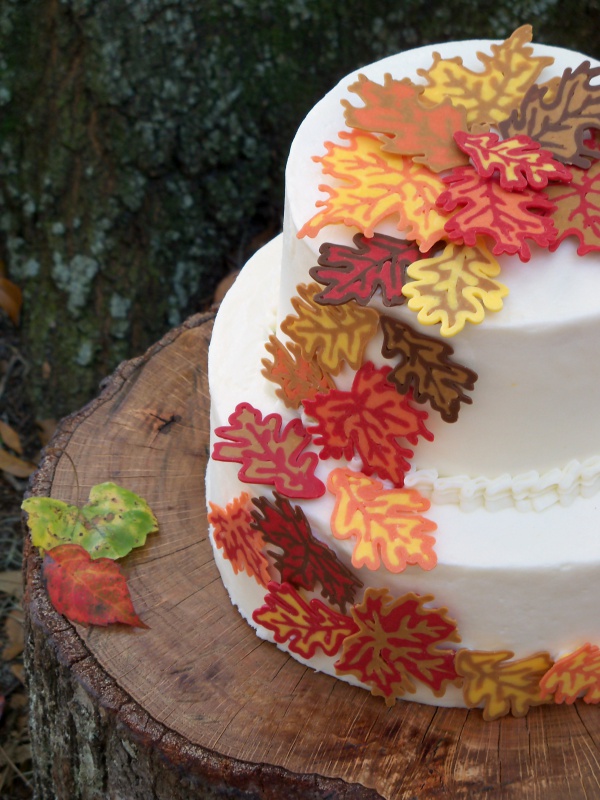 Autumn Leaves Cake