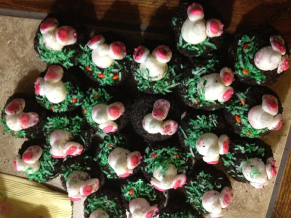Bunnies looking for carrots cupcakes