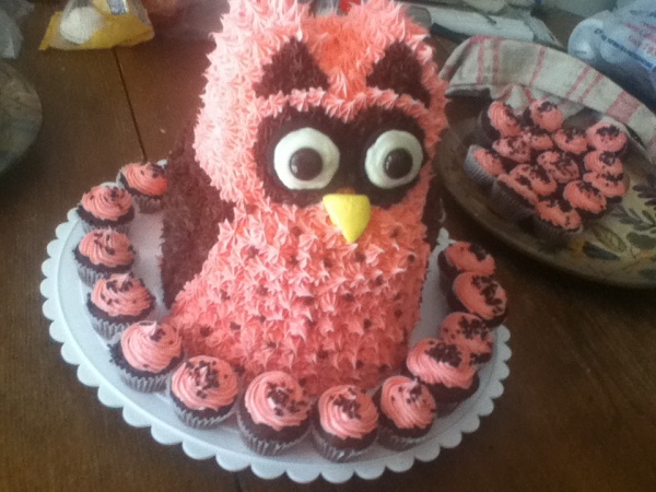 Pink and Brown Owl Cake